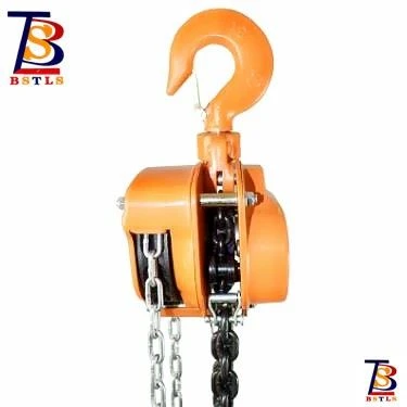 Electric Winch Steel Manual Lifting Chain Hoist With G80 Hook Chain Pallet Truck