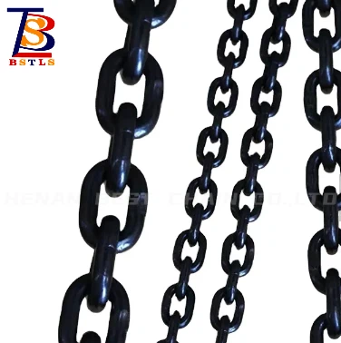Persistent Security G80 Lifting Chain